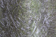 Heath Charnock fibreglass roof work